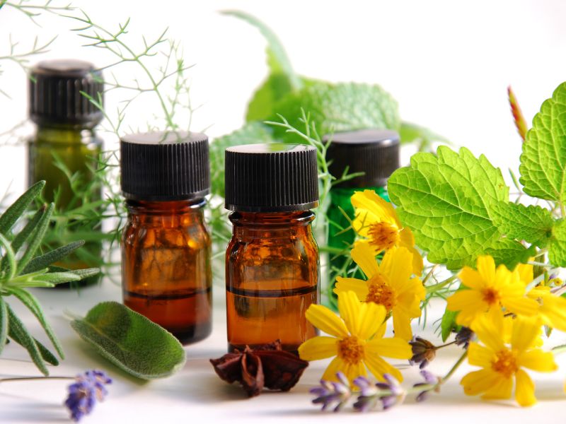 plantas medicinales para cuidar la piel